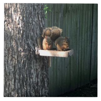 Squirrel ceramic tile