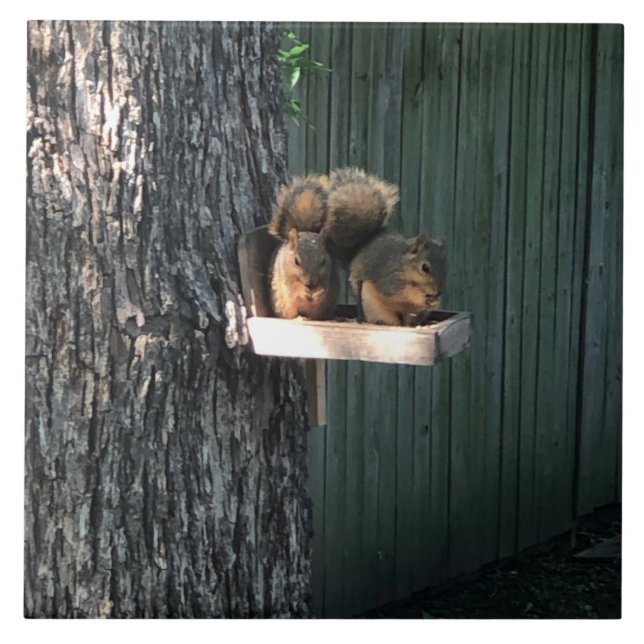 Squirrel  ceramic tile (Front)