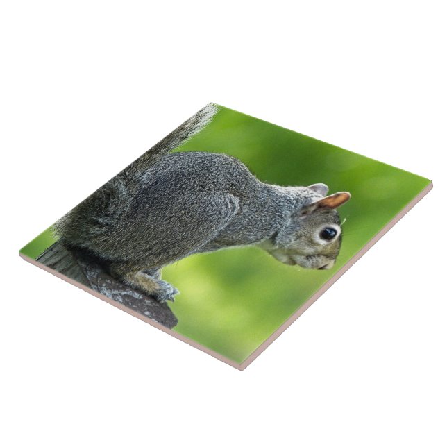 Squirrel Ceramic Tile (Side)