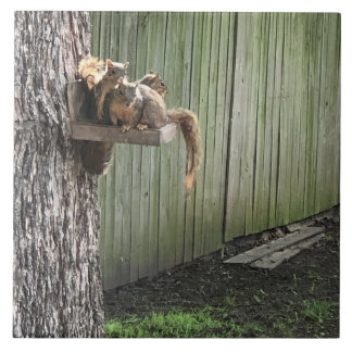 Squirrel Ceramic Tile