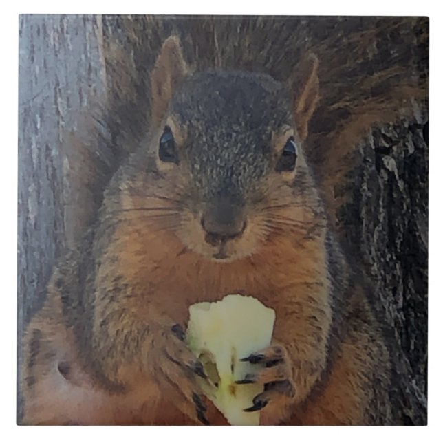 Squirrel Ceramic Tile (Front)