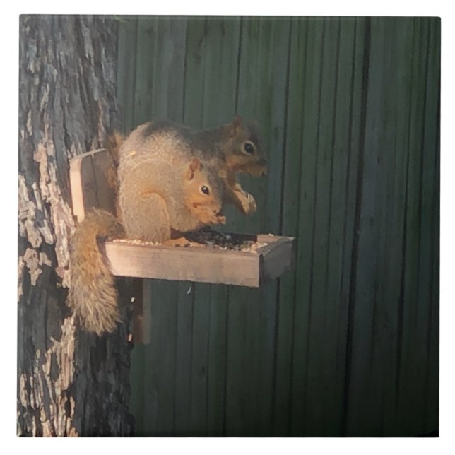 Squirrel Ceramic Tile (Front)