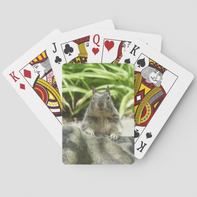 Squirrel Chilling in the Shade Playing Cards (Back)