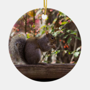Squirrel Chow Time Ceramic Ornament