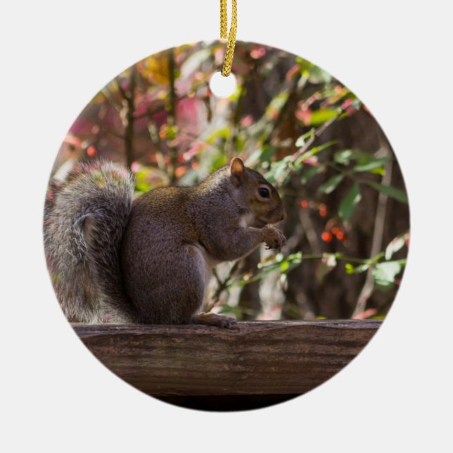 Squirrel Chow Time Ceramic Ornament (Front)