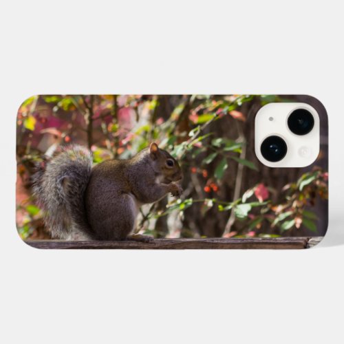 Squirrel Chow Time iPhone Case