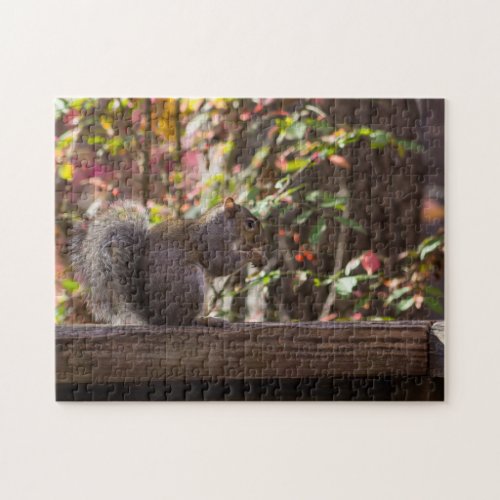 Squirrel Chow Time Jigsaw Puzzle