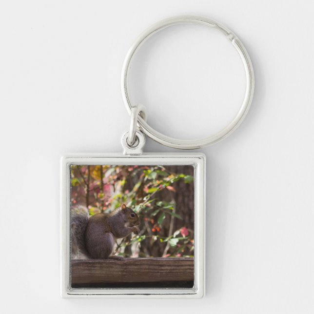 Squirrel Chow Time Keychain (Front)