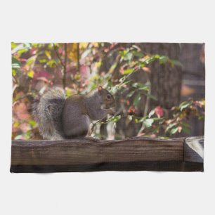 Squirrel Chow Time Kitchen Towel