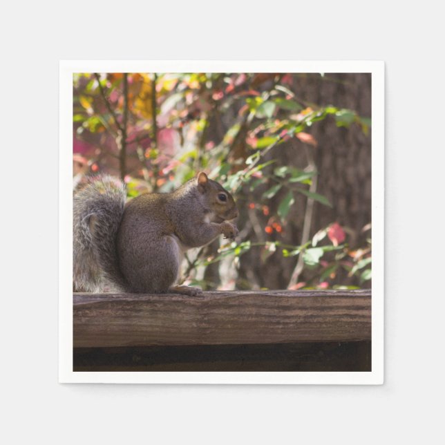 Squirrel Chow Time Napkins (Front)
