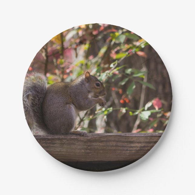 Squirrel Chow Time Paper Plates (Front)