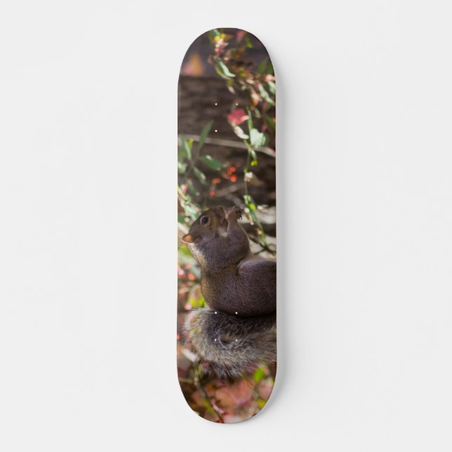 Squirrel Chow Time Skateboard (Front)