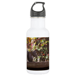 Squirrel Chow Time Stainless Steel Water Bottle