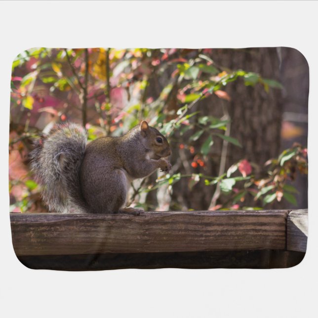 Squirrel Chow Time Swaddle Blanket (Horizontal)