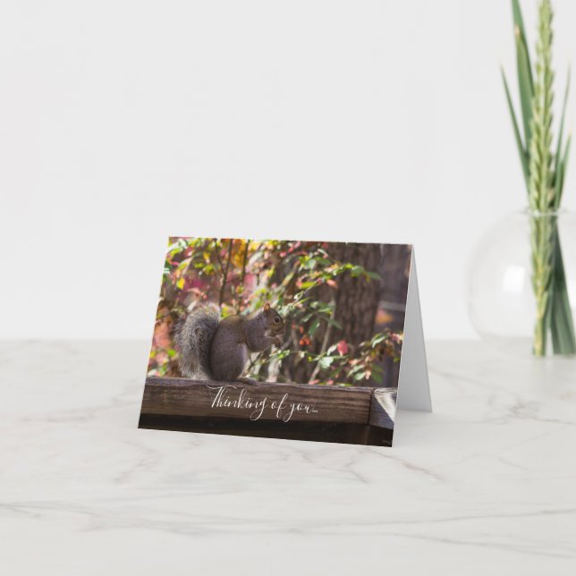 Squirrel Chow Time Thinking Of You Card (Front)