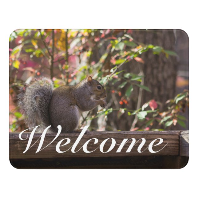 Squirrel Chow Time Welcome Door Sign (Contemporary Front)
