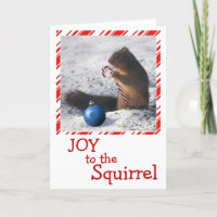 Squirrel Christmas ornament greeting card