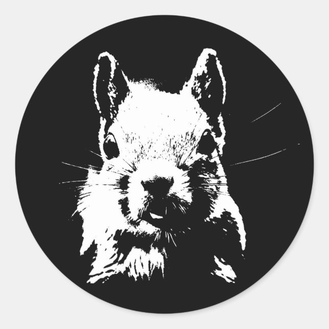 Squirrel Classic Round Sticker (Front)