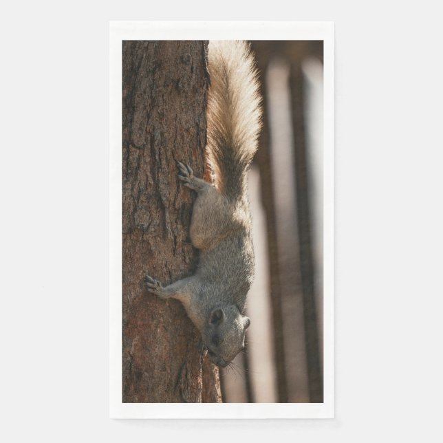 Squirrel Climbing Down Tree Kitchen Towel (Front)