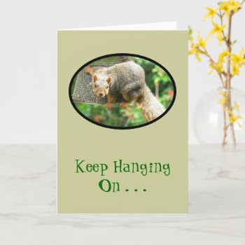 Squirrel Clinging To Birdfeeder  Keep Hanging On. Card by whatawonderfulworld at Zazzle