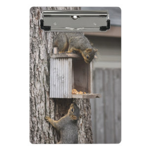 Squirrel Clipboards