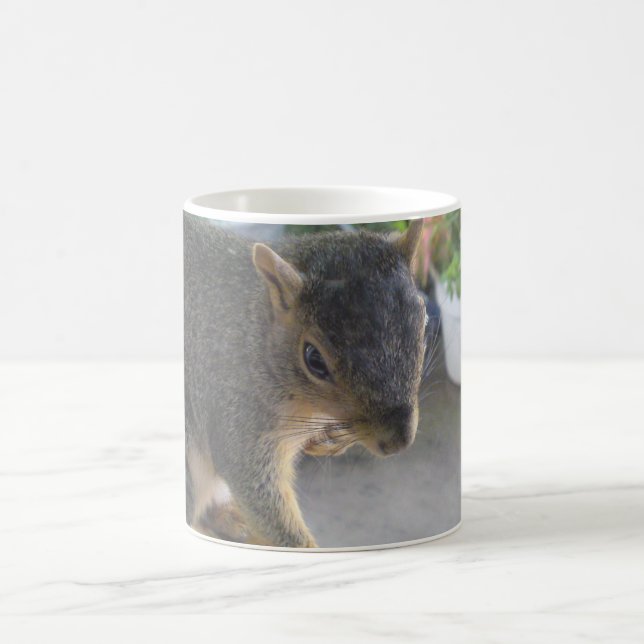 Squirrel Close Up Mug (Center)