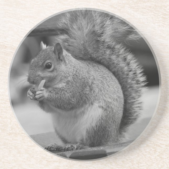 Squirrel Coaster (Front)