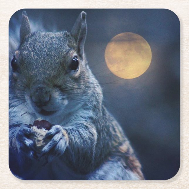 squirrel coaster (Front)