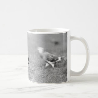 Squirrel Coffee Mug