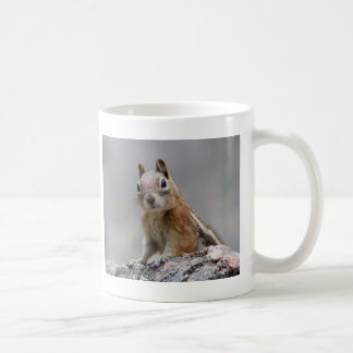squirrel coffee mug