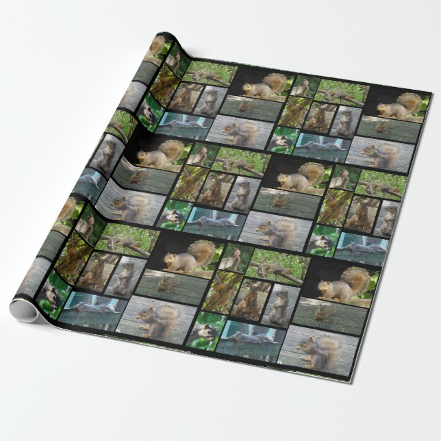 Squirrel collage Gift Wrap (Unrolled)