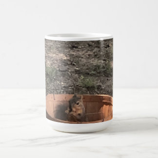 Squirrel Color Morph Mug