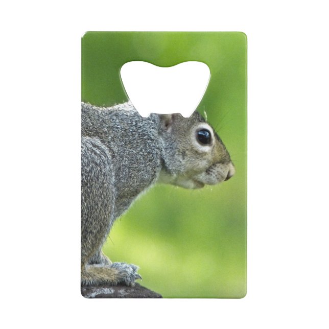 Squirrel Credit Card Bottle Opener (Back)