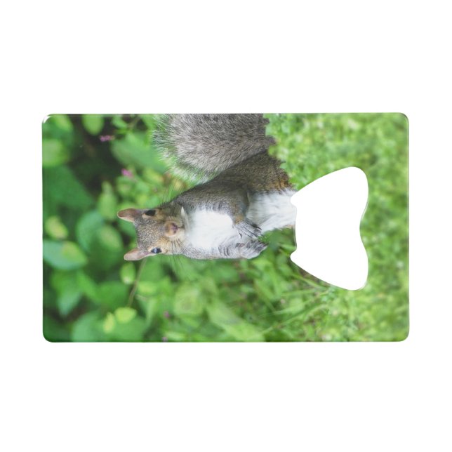 Squirrel Credit Card Bottle Opener (Front (Horizontal))