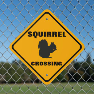 Squirrel Crossing Roadway Street Warning 2 Metal Sign