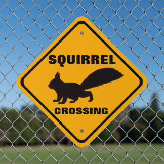 Squirrel Crossing Roadway Street Warning  Metal Sign