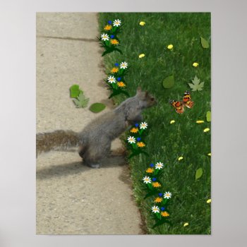 Squirrel Curiosity  Poster by bonfireanimals at Zazzle