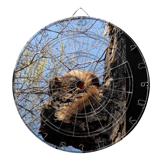 Squirrel Dartboard (Front)