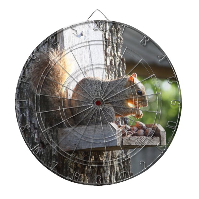 Squirrel Dartboards (Front)