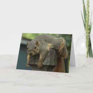 Squirrel Day Afternoon Card