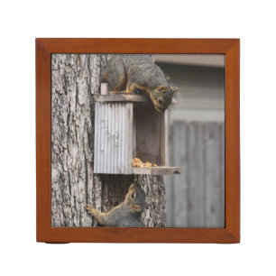 Squirrel Desk Organizer