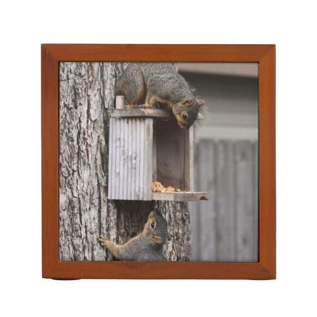 Squirrel Desk Organizer (Front)