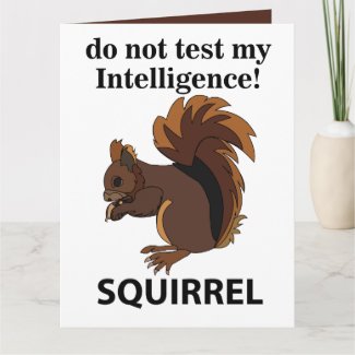 Squirrel Do Not Test My Intelligence Squirrel
