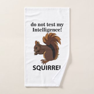 Squirrel Do Not Test My Intelligence Squirrel