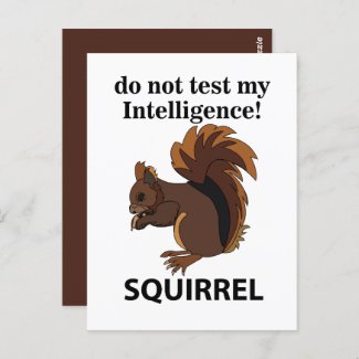 Squirrel Do Not Test My Intelligence Squirrel