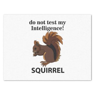 Squirrel Do Not Test My Intelligence Squirrel