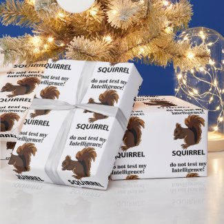 Squirrel Do Not Test My Intelligence Squirrel
