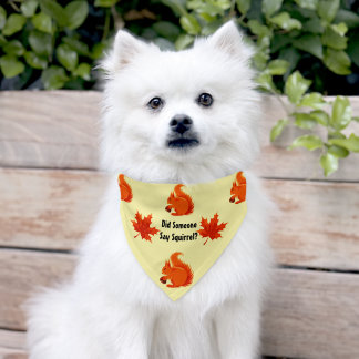 Squirrel Dog Bandana, Medium - 8.66" x 5.51" Pet Bandana Collar