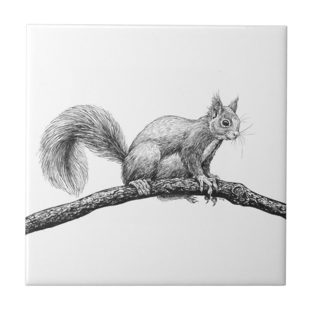 Squirrel drawing ceramic tile (Front)