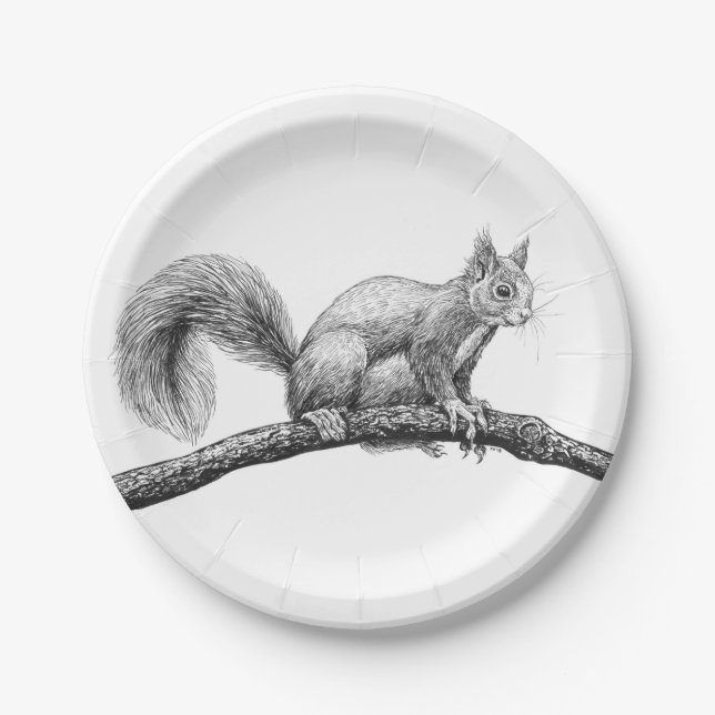 Squirrel drawing paper plates (Front)